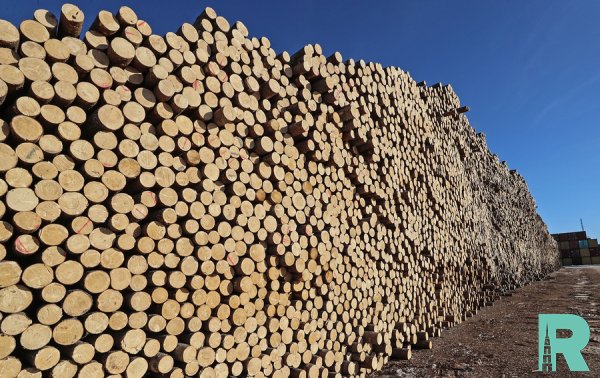 Россия может перестать экспортировать лес в Китай