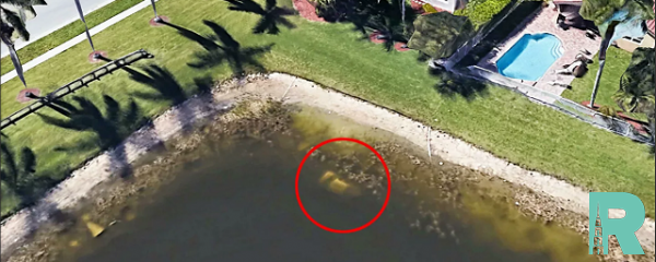 При помощи Google Earth удалось найти останки пропавшего 22 года назад человека
