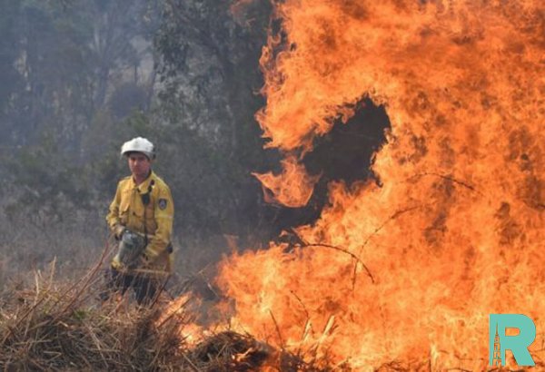 В Австралии из-за лесных пожаров погибло два человека