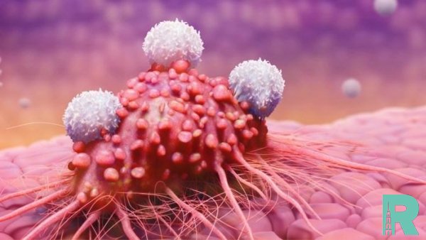 Учеными озвучена основная причина появления рака