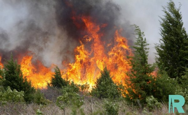 При тушении лесных пожаров в Китае погибли 26 человек