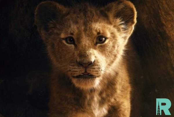 В Интернете появился новый трейлер ленты "Король Лев"