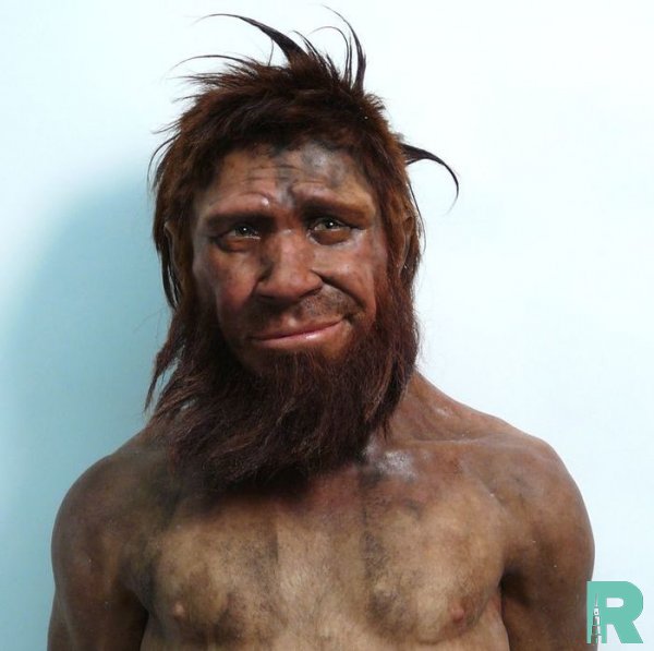 Учеными озвучена основная причина исчезновения неандертальцев