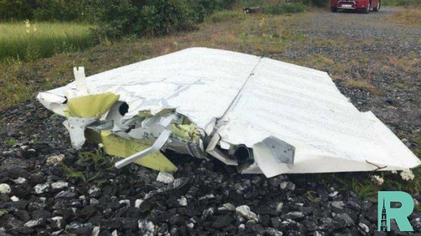 В Швеции из-за крушения самолета погибло девять человек (видео)