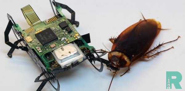 В США создан "робот-таракан" для поисково-спасательных работ