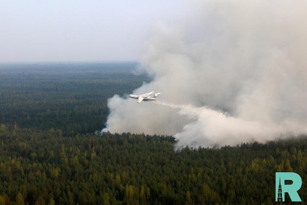 На тушение лесных пожаров правительство выделит 6 миллиардов рублей