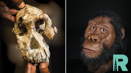 В Эфиопии найден череп австралопитека древнейшего вида