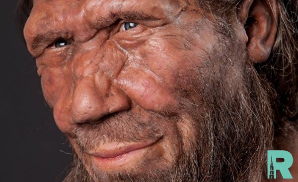 Испанскими археологами обнаружено ожерелье последних неандертальцев